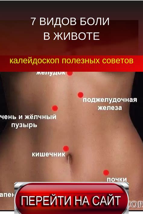 Описание проблемы болей в животе