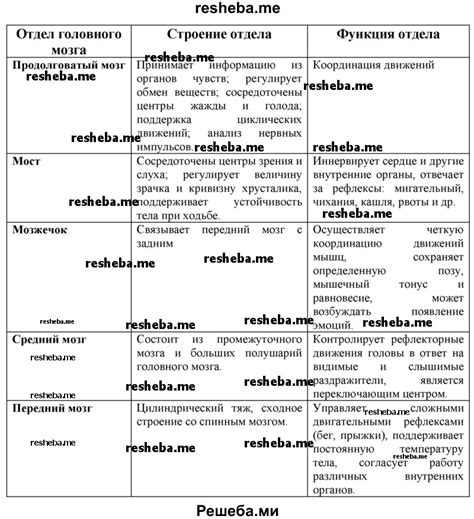Определение головного офиса и главного: различия
