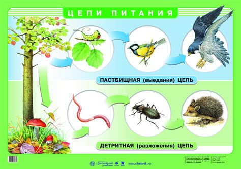 Определение нарушений в цепи питания