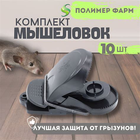 Опыт других стран в регулировании применения мышеловок