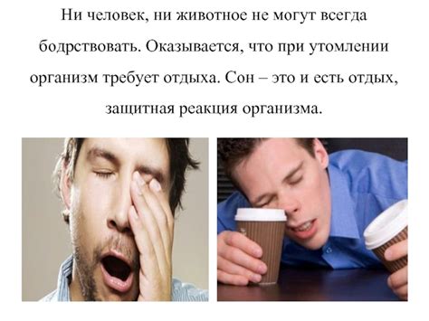 Организм требует отдыха