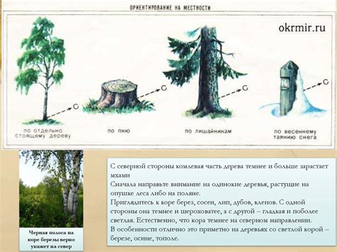 Ориентирование по ландшафту и знакомым местам