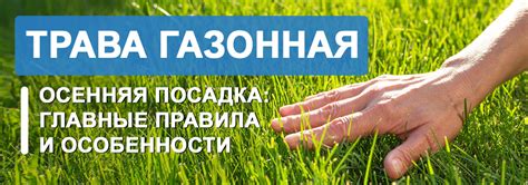 Осенняя посадка: преимущества и особенности