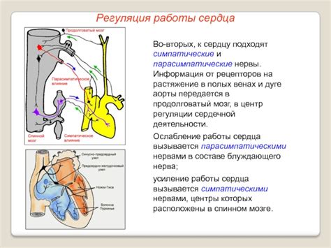 Ослабление сердечной работы
