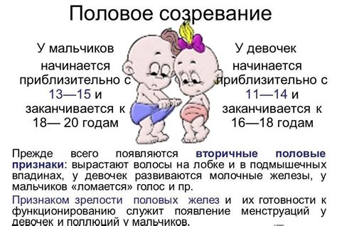 Основные признаки полового созревания