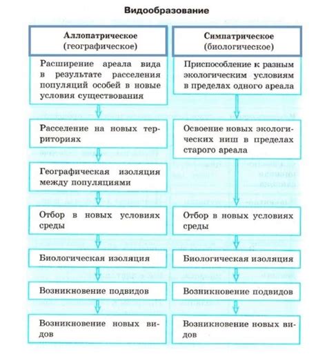 Основные причины формирования необычной наружности