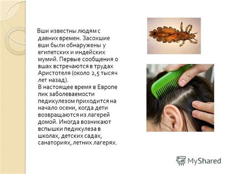 Основные симптомы заражения вшами