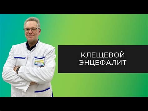 Основные типы энцефалита