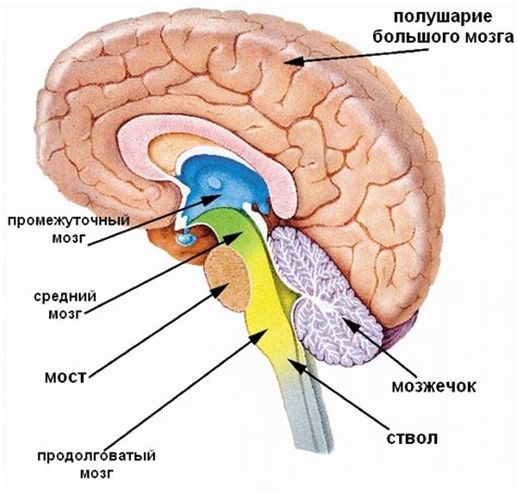 Основные характеристики головного офиса