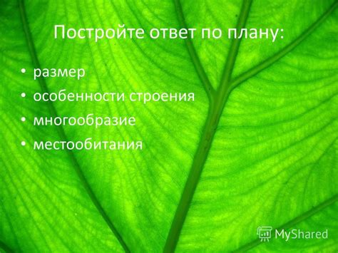 Особенности ее местообитания