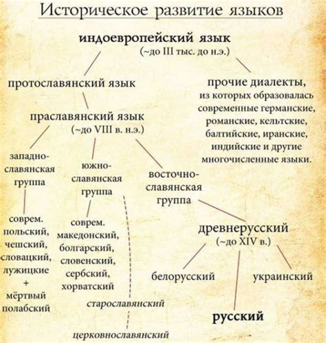 Особенности морского языка: происхождение и применение