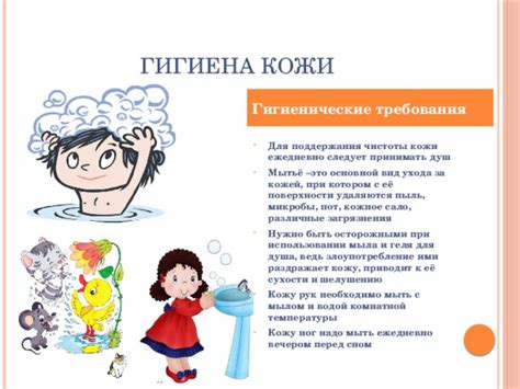 Особенности ухода за кожей кота при использовании хозяйственного мыла