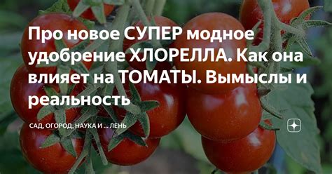 Ответы-вымыслы