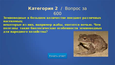Ответ на вопрос о большом количестве насекомых в Австралии