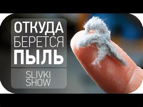 Откуда берется пыль в квартире