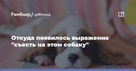 Откуда появилось выражение "отморожу уши"