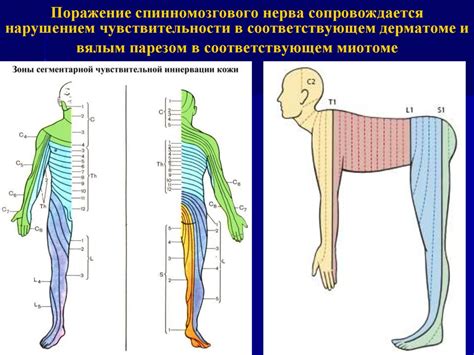 Отсутствие пара
