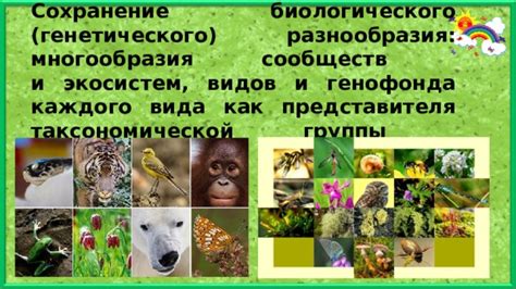 Охрана биологического многообразия
