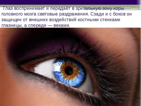 Охрана глаз от внешних воздействий