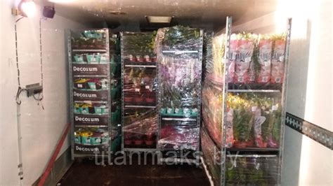 Перевозка цветов в ручной клади