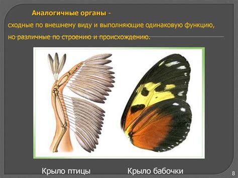 Период адаптации организма к новой среде