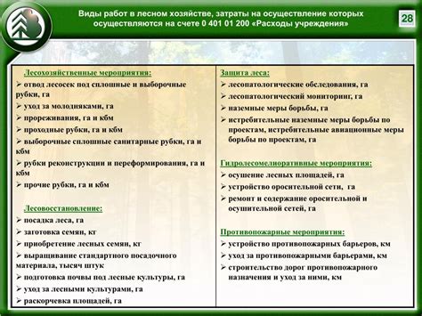 Перспективы развития лесной промышленности