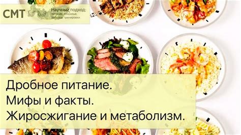 Питание и метаболизм
