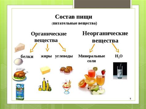 Питательные вещества в сыворотке для восстановления организма