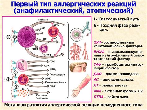 Повышение риска аллергических реакций из-за плохой вентиляции