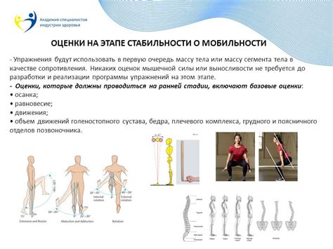 Повышение силы и стабильности тела