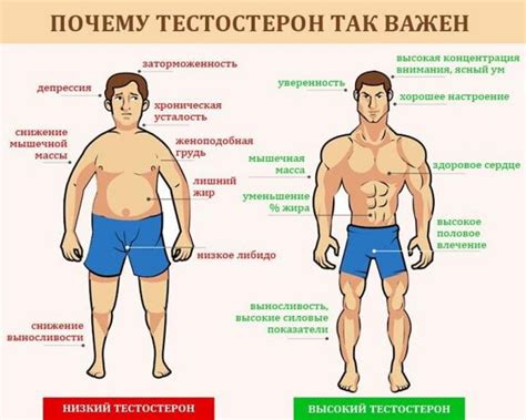 Повышение уровня тестостерона в организме