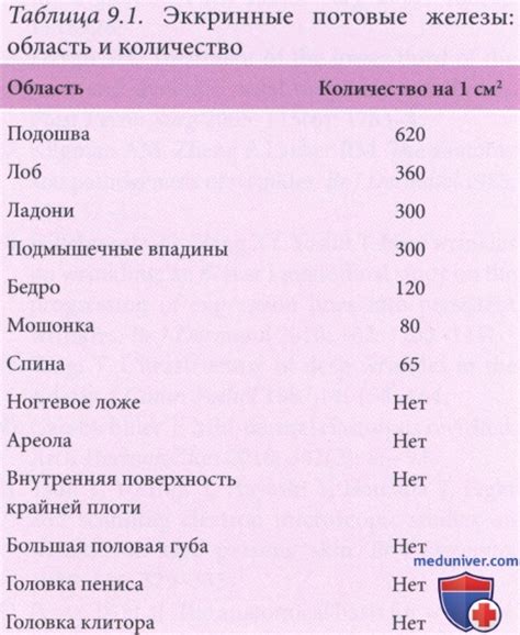 Повышенное выделение пота: как потеря жидкости влияет на сон