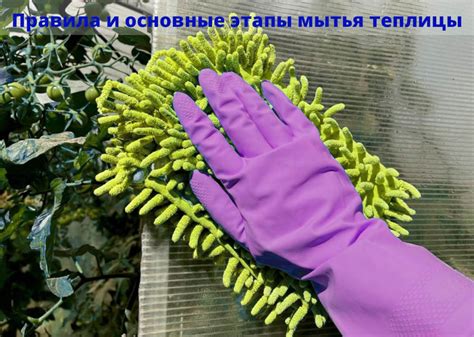 Подготовка к процессу мытья теплицы