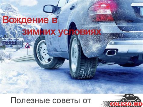 Подготовка хмеля к зимнему периоду