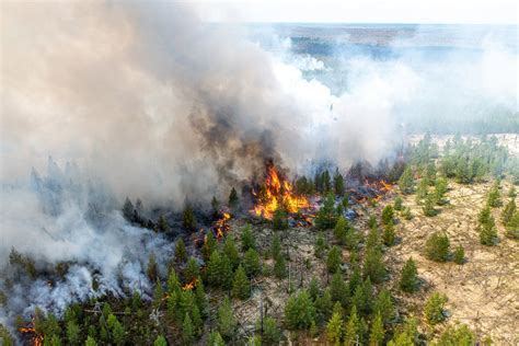 Пожары в окружающих районах