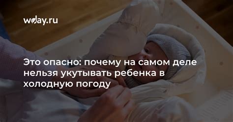 Поиск безопасности и комфорта