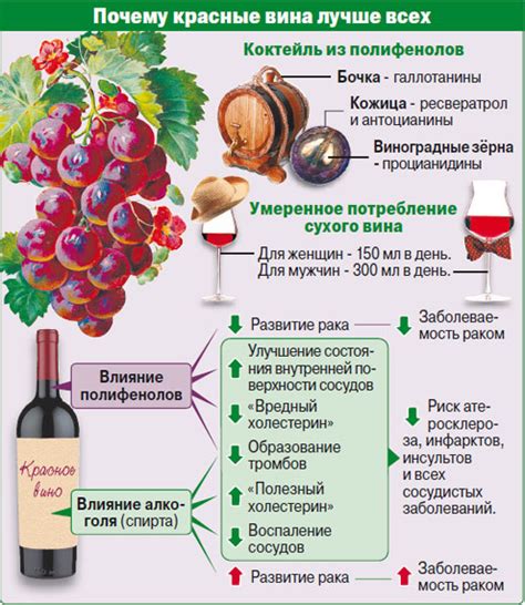 Полезные свойства забродившего вина
