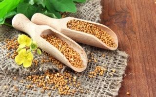 Полезные свойства семян горчицы для кур