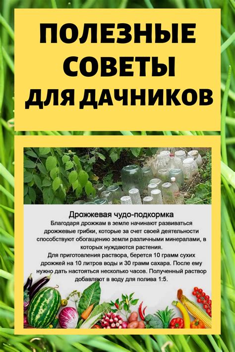 Полезные советы по смешиванию ацц и молока