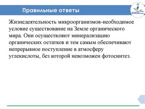 Положительные стороны использования лампадки