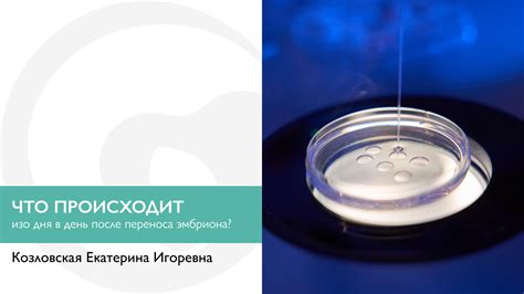 Положительные эффекты магния В6 в период после переноса эмбрионов