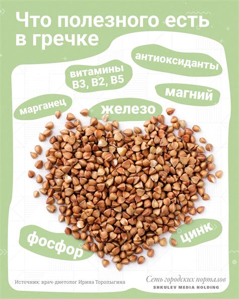 Польза гречки для цыплят