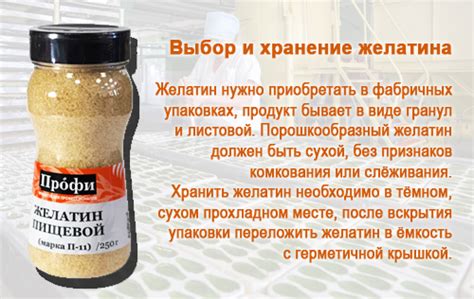 Польза и возможное вредное воздействие пищевого желатина на собаку