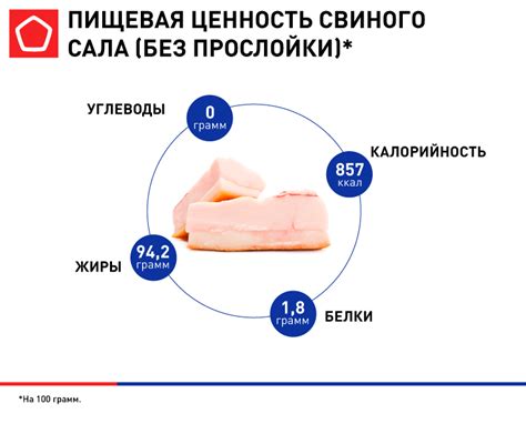 Польза и вред сала для организма