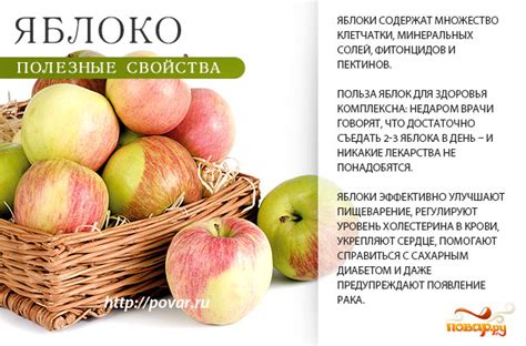 Польза яблок для организма и их роль в выздоровлении от похмелья