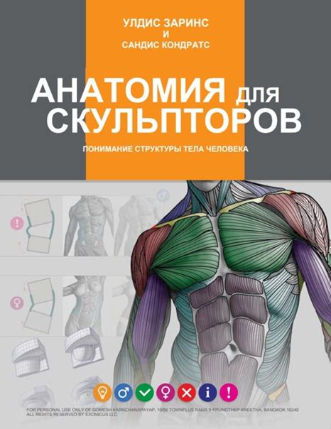 Понимание структуры организма