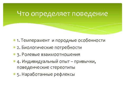 Породные особенности поведения