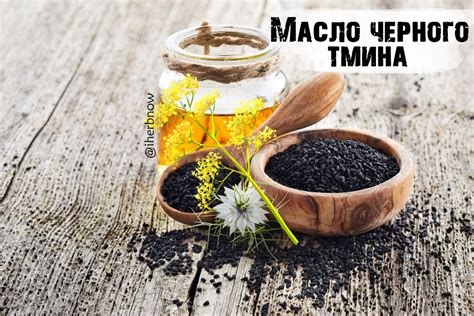 Потенциальные побочные эффекты при использовании масла черного тмина с антибиотиками