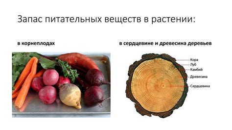 Потеря урожая и питательных веществ