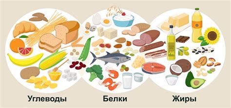 Потребности в питании